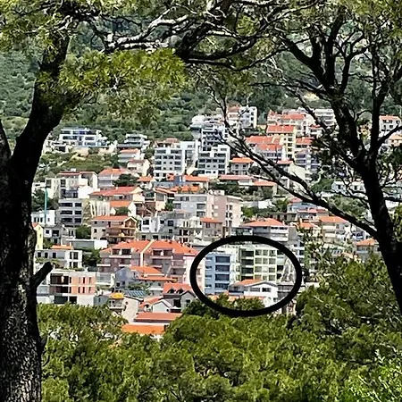 Apartamento Sofia *